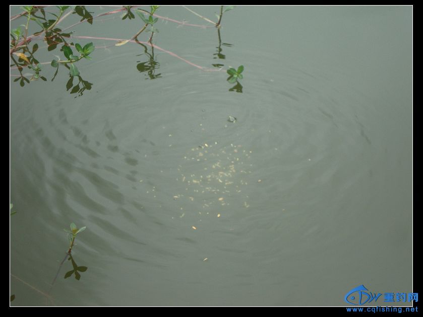 nEO_IMG_DSC04396.jpg