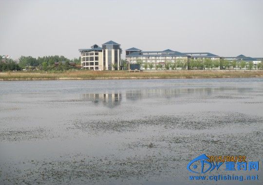 conew_img_0551.jpg