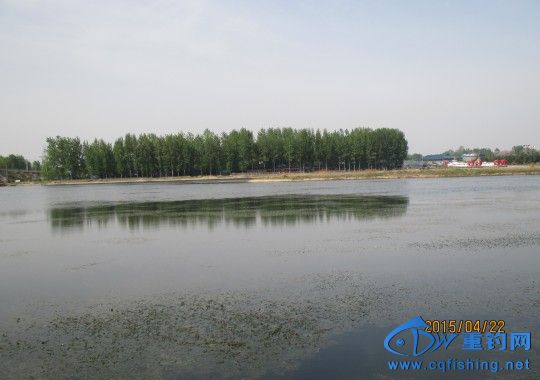 conew_img_0553.jpg