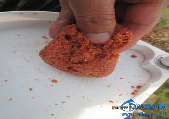 conew_img_0555.jpg