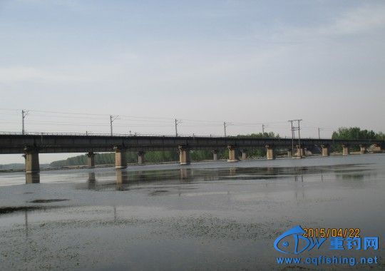 conew_img_0554.jpg