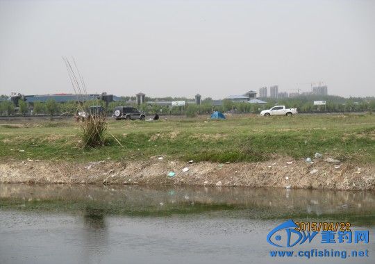 conew_img_0561.jpg