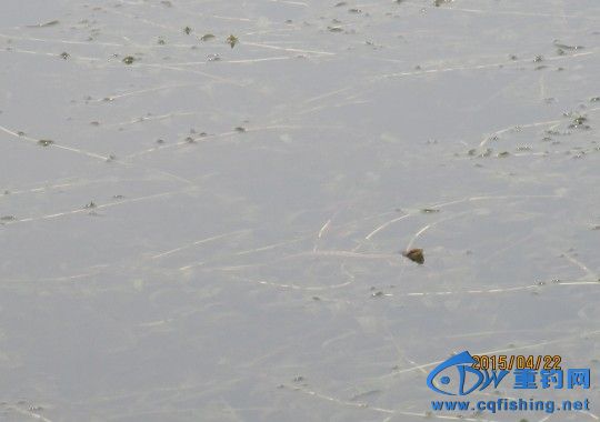 conew_img_0569.jpg