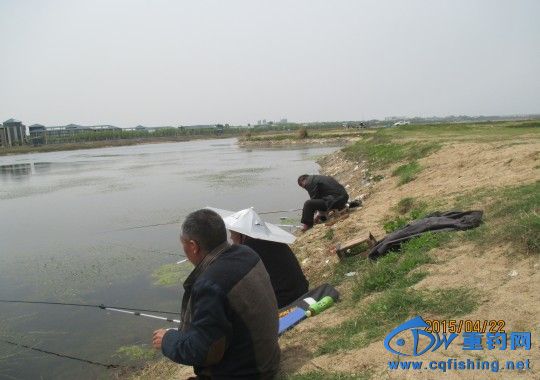 conew_img_0570.jpg