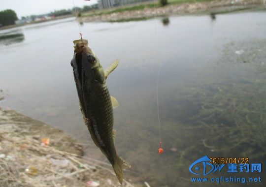 conew_img_0572.jpg