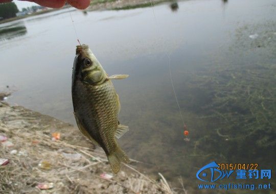 conew_img_0573.jpg
