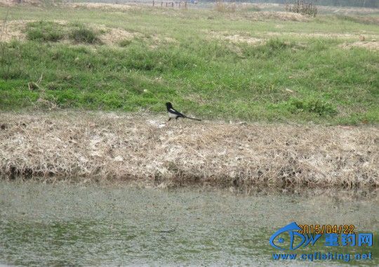 conew_img_0575.jpg