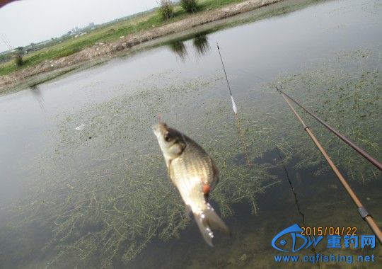 conew_img_0577.jpg