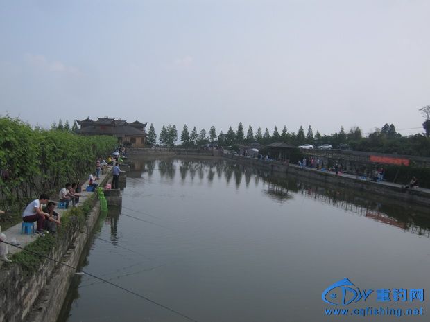 IMG_0515_С.jpg