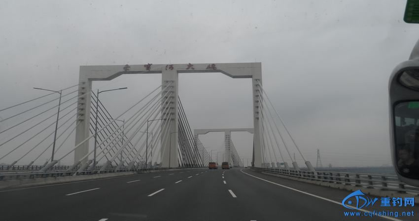 89.JPG