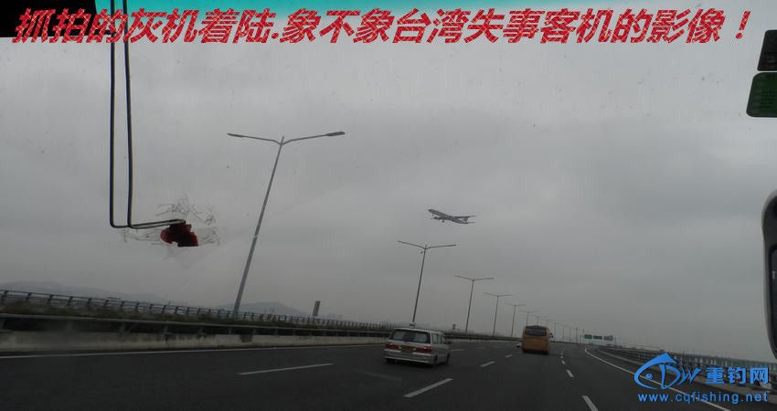 91.JPG