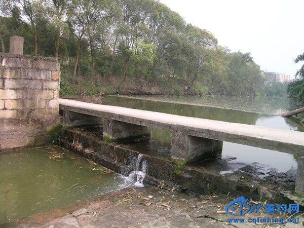 DSCN3961_.jpg