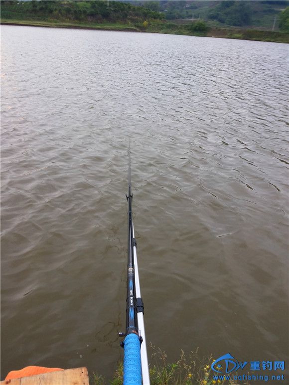 20150501_185232.jpg