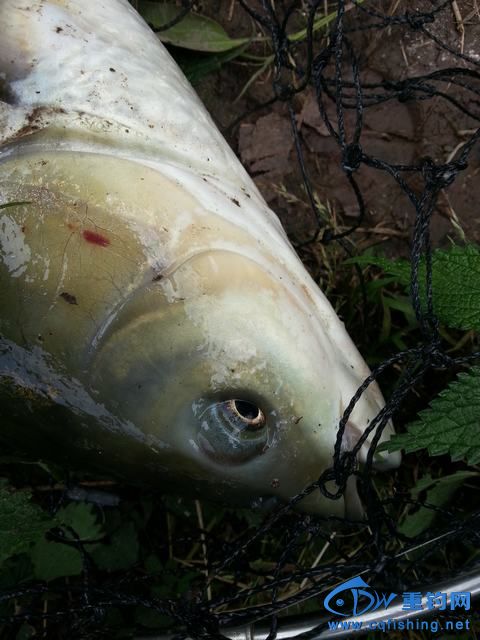 20150501_132201.jpg