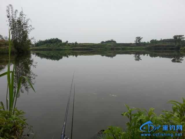 20150503_074529.jpg