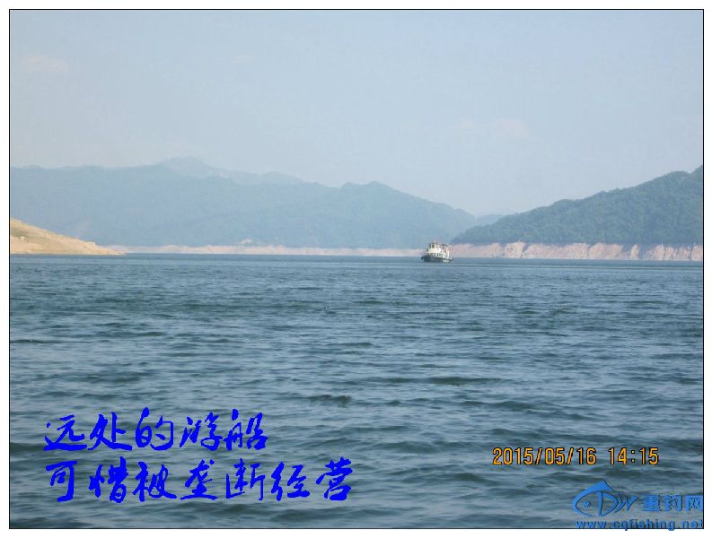 IMG_6515.jpg