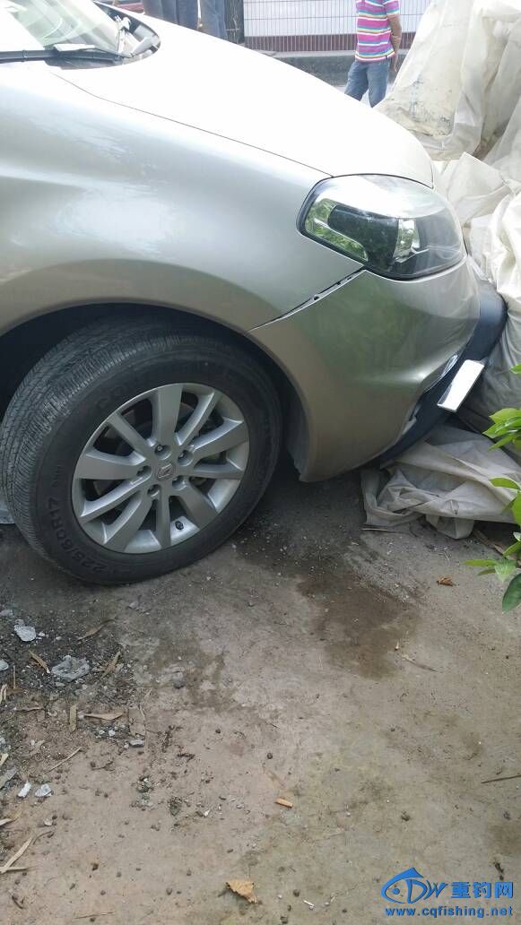 112545kgkz119rd1jo3dm9.jpg