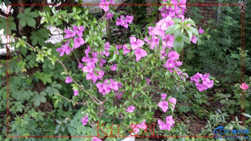 20150523_131046.jpg