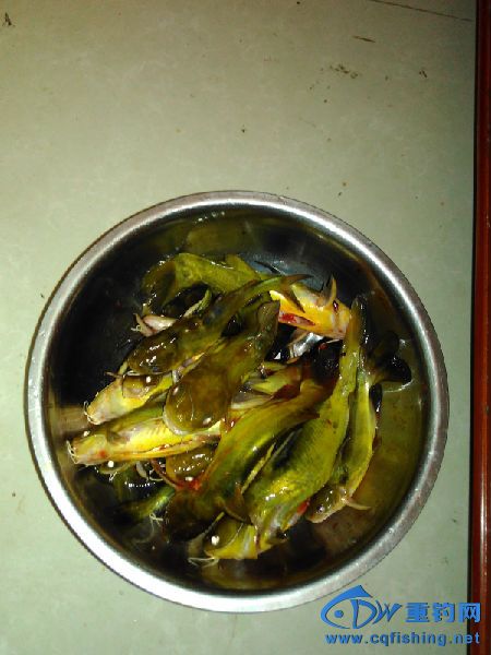 ȸ