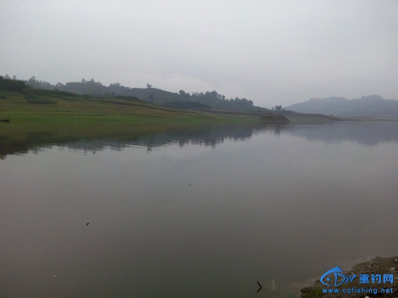 IMG_20150530_081933.jpg