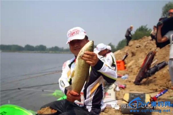 conew_12.webp.jpg