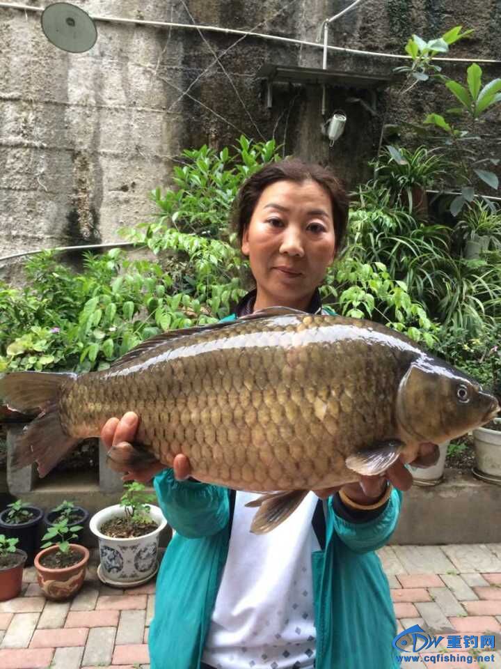 QQͼƬ20150603084854.jpg