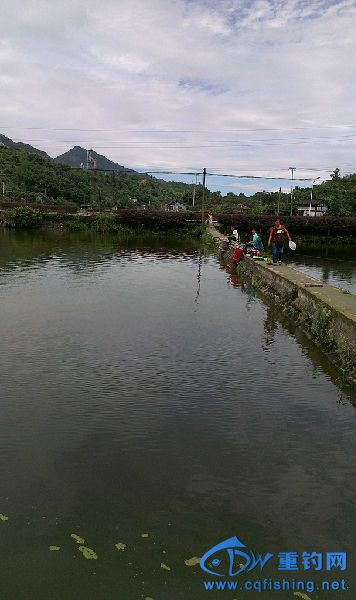 IMAG1535.jpg