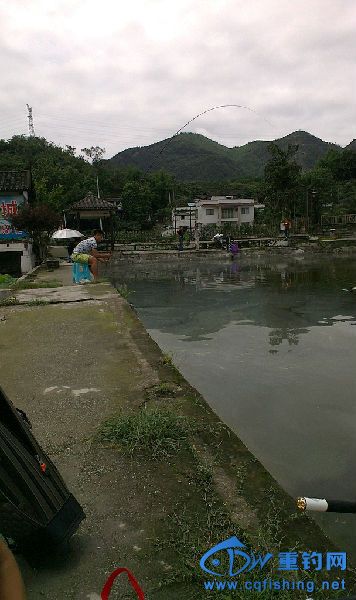 IMAG1537.jpg