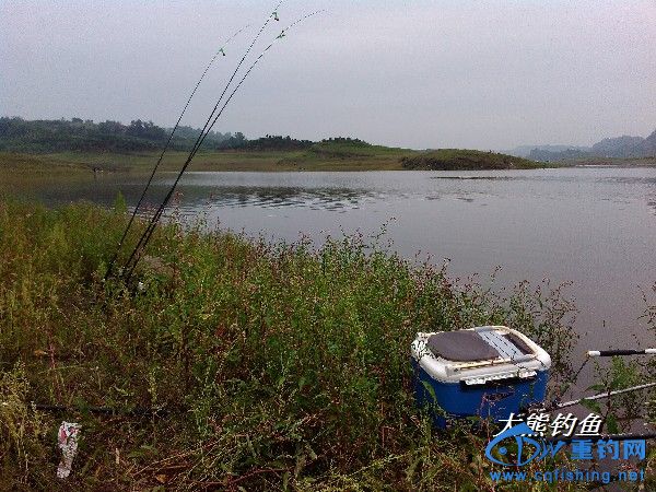 BigBull_YP20150606112052.jpeg