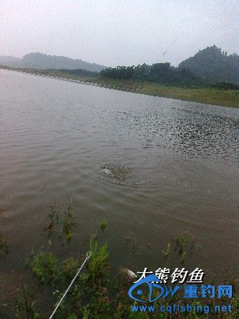 BigBull_YP20150606164348.jpeg