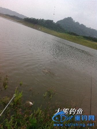 BigBull_YP20150606164355.jpeg