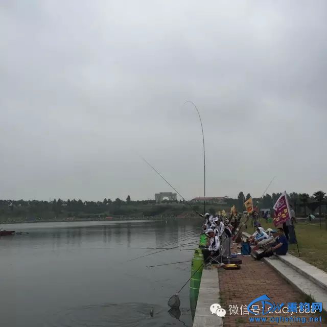 640.webp (14).jpg