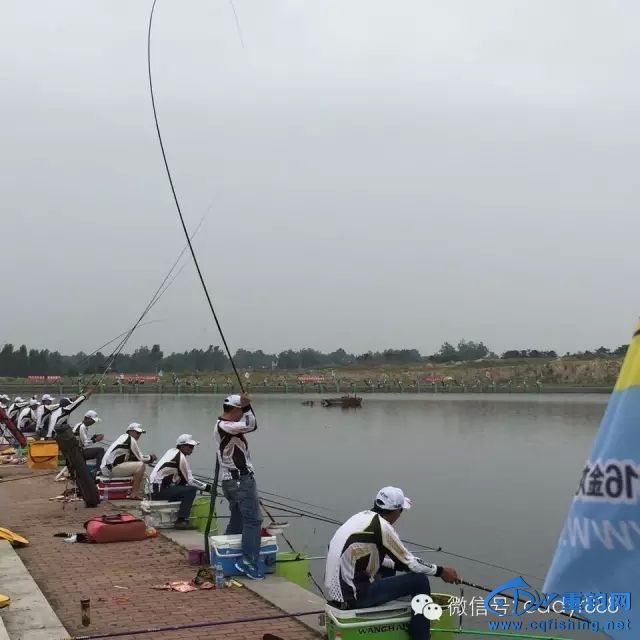 640.webp (21).jpg