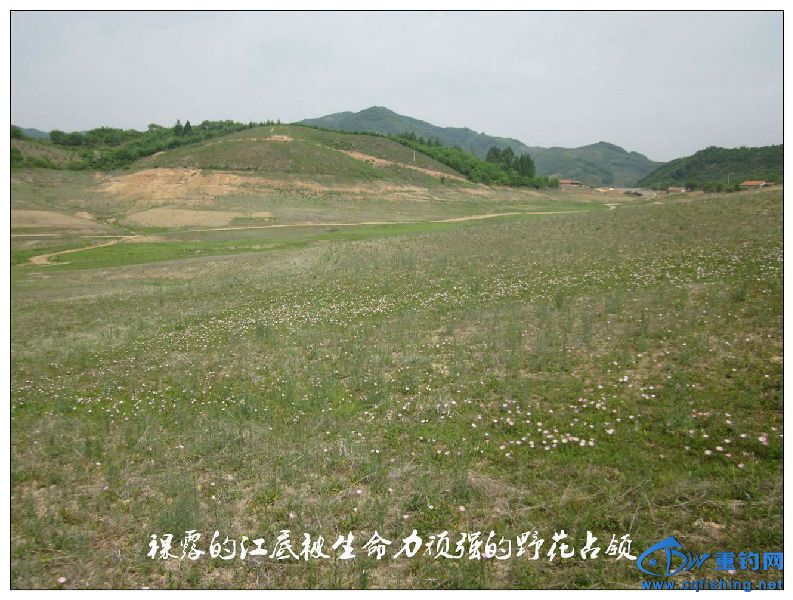 IMG_6540_副本.jpg