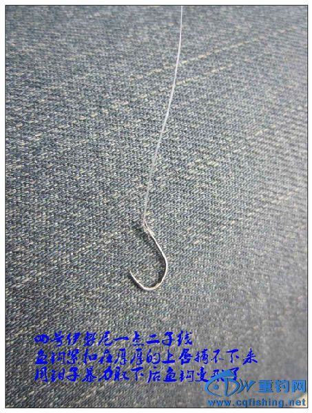IMG_6554_副本.jpg