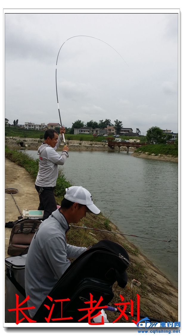 20150612_120526.jpg