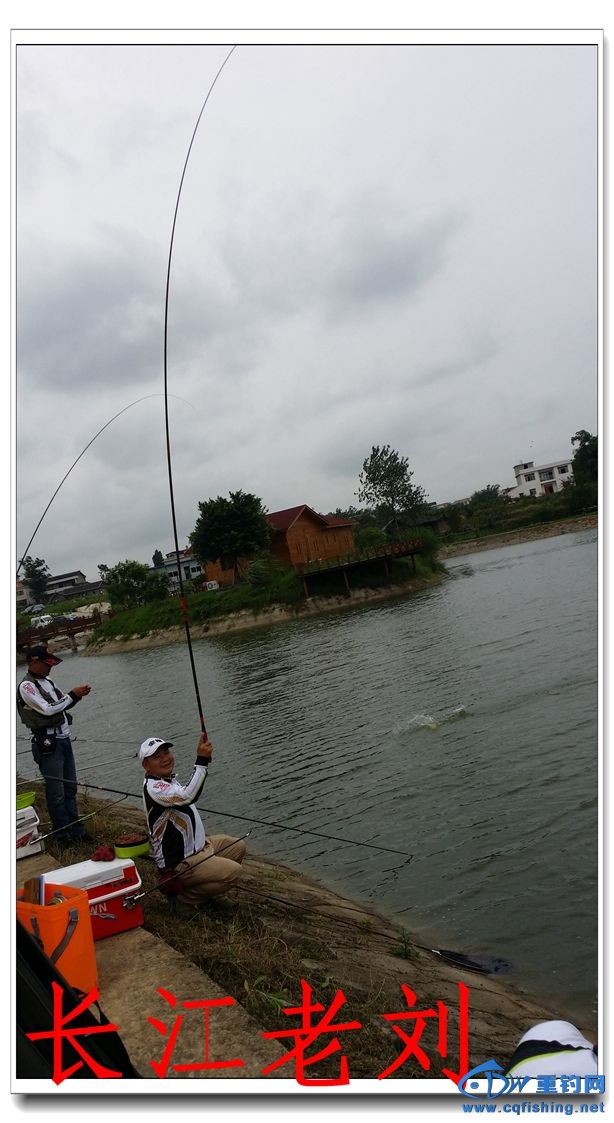 20150612_121812.jpg