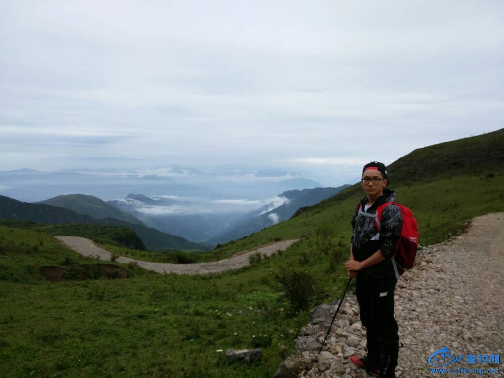 095111npiibdmoir2rivc2.jpg
