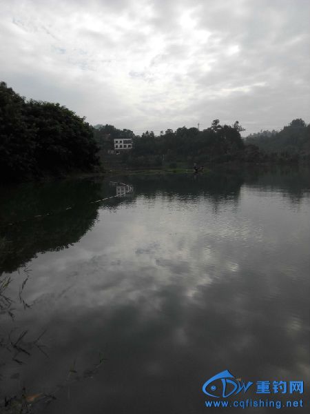 IMG_20150622_080308.jpg