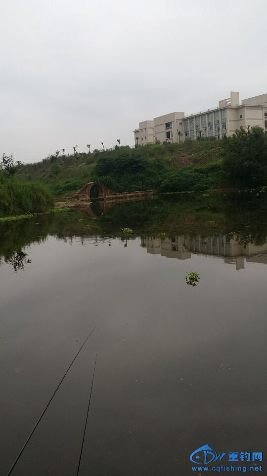 QQ图片20150623230243.jpg