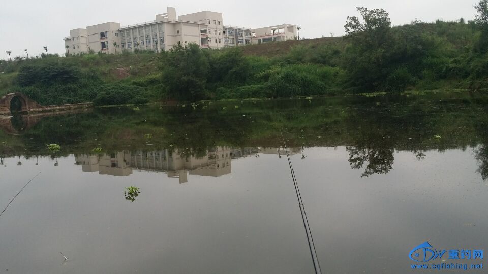 QQ图片20150623230228.jpg