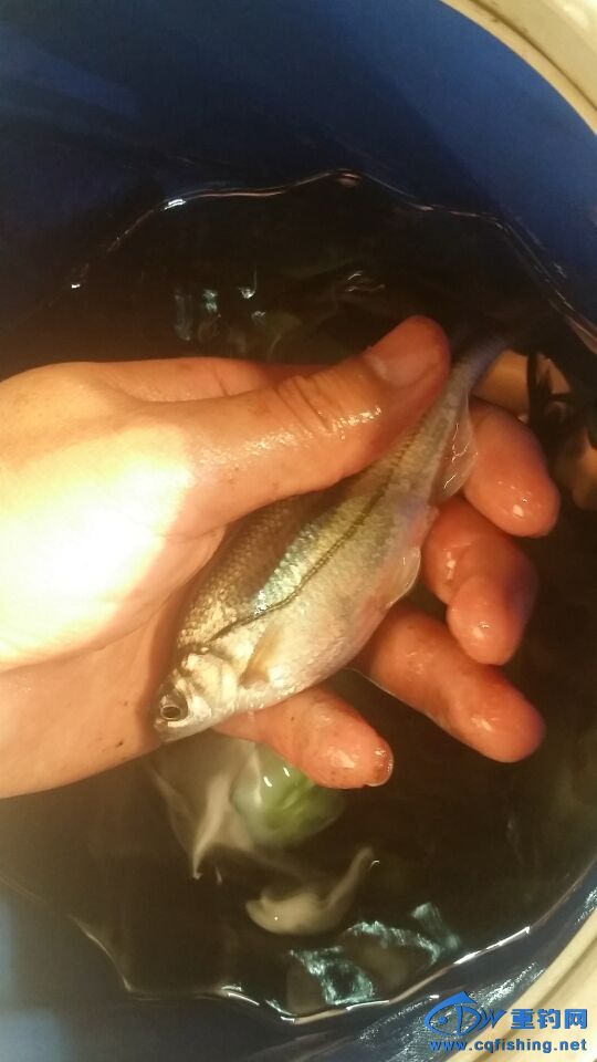 QQͼƬ20150623230309.jpg