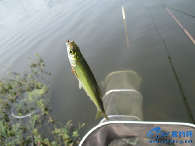 IMG_0801.JPG