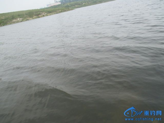 IMG_0813.JPG