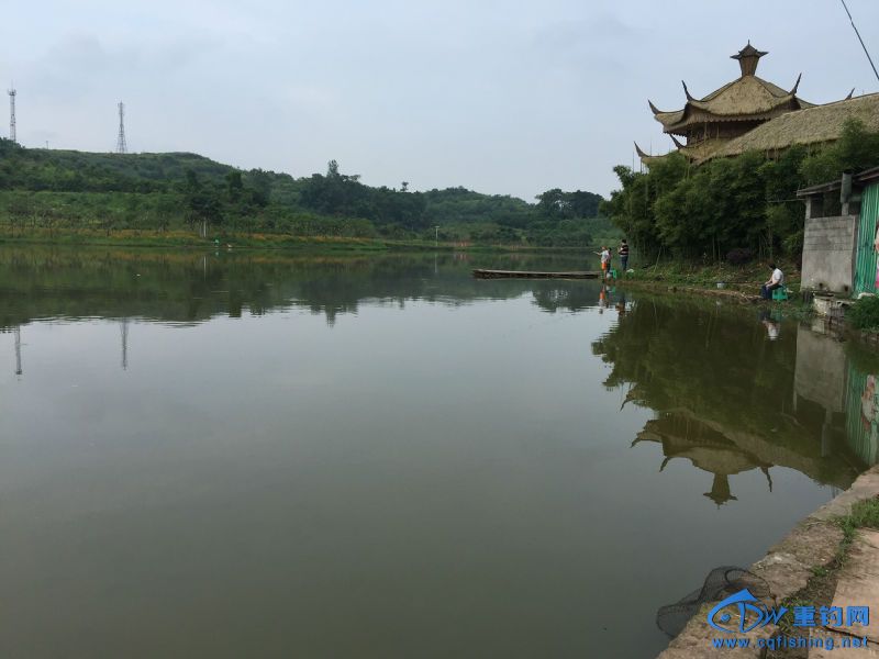 羰
