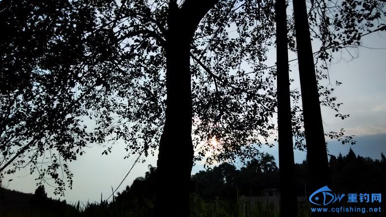 IMG_20150621_183830_HDR.jpg