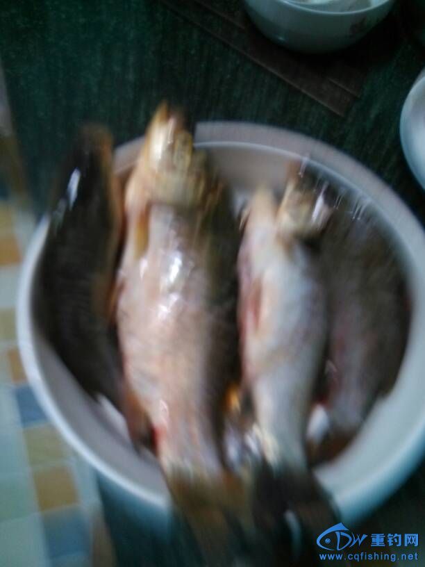 015755e3zrrc2wwcrovc3h.jpg