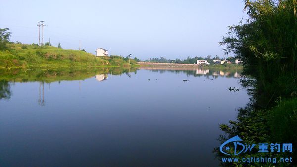 IMG_20150622_071911.jpg