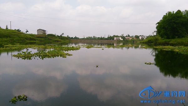IMG_20150622_115817.jpg