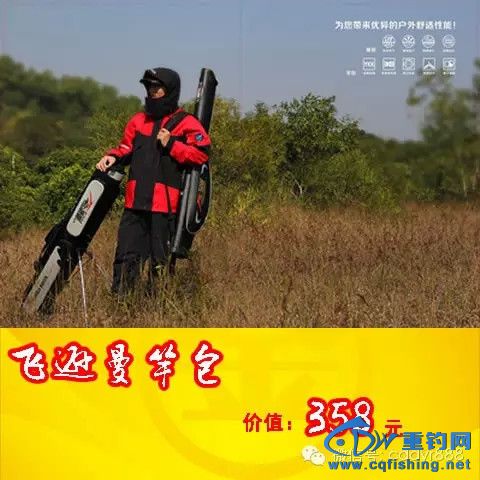 640.webp (11)_.jpg